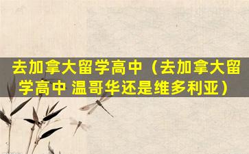 去加拿大留学高中（去加拿大留学高中 温哥华还是维多利亚）